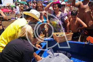Melenara rememora el chinchorro y la varada del pescado (Foto TA)